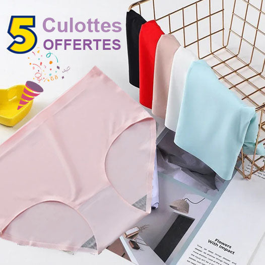 Lot de 10 culottes en soie glacée sans couture