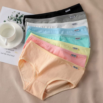 Pack of 7 Panties in 100% cotton Vanilla Model 