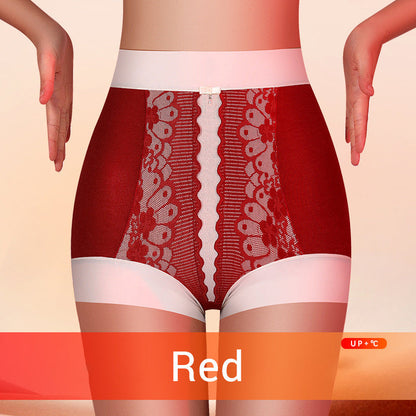 Women's Lace High-Rise Panties with Plush Lining