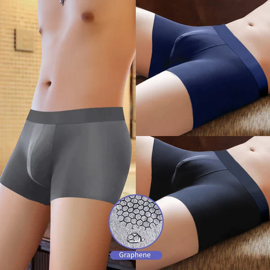 Lot de 4 boxers en soie glacée (Caleçons pour homme)