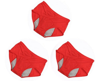 Lot de 3 Culottes Menstruelles - Flux Normaux  (Culottes de règles)